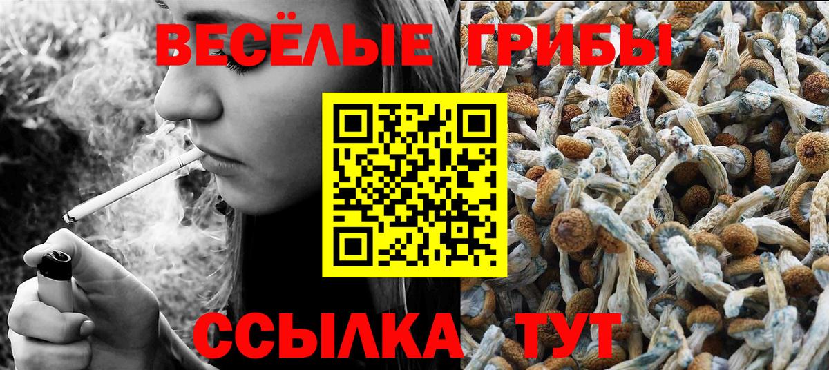 Псилоцибиновые грибы Cubensis  Вход с VPN  Новый Уренгой 